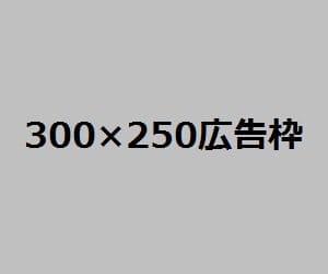 300250koukoku1