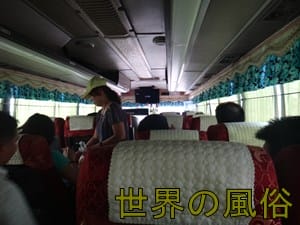 dosonikibasu