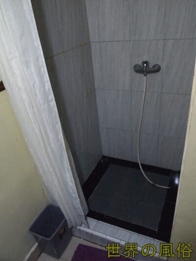 sokosokokireinashawa